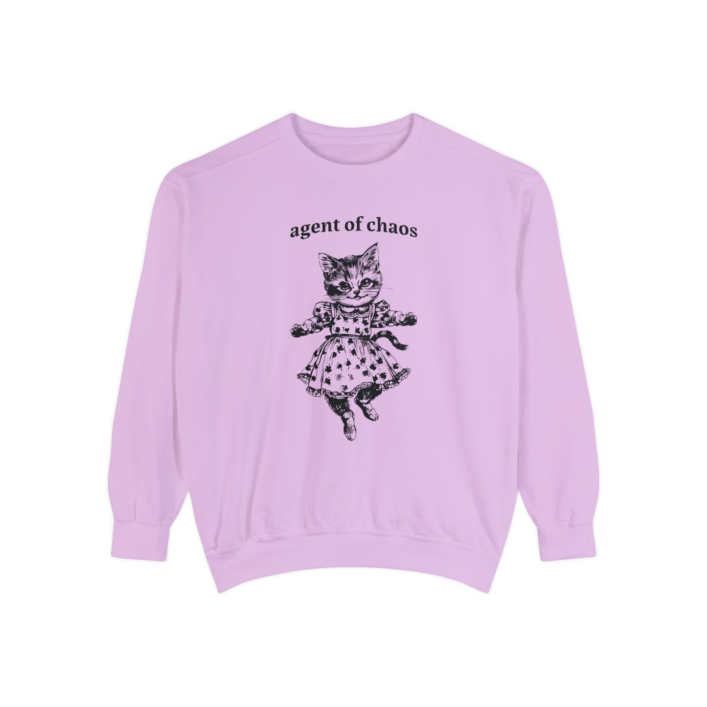 Agent of Chaos Funny Cat Pullover Sweatshirt