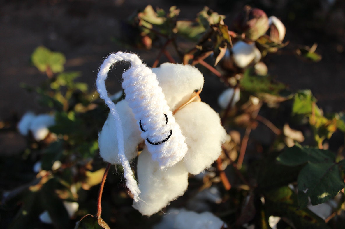 Funny Cat Toy Crochet Tampons Evolution