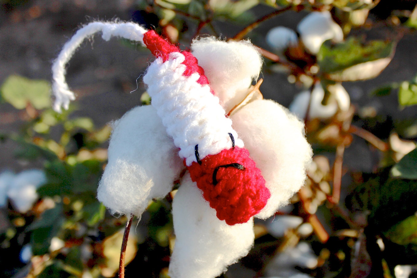 Funny Cat Toy Crochet Tampons Evolution